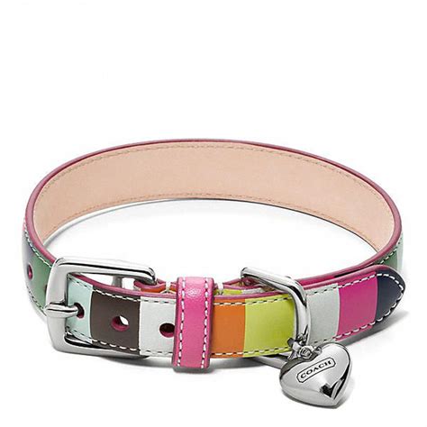 coach dog collars discontinued